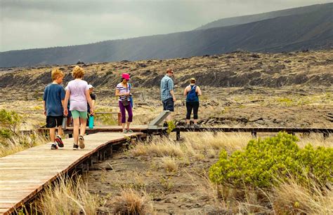 Volcano Adventure Tour From Hilo | Hawaii Tours and Activities