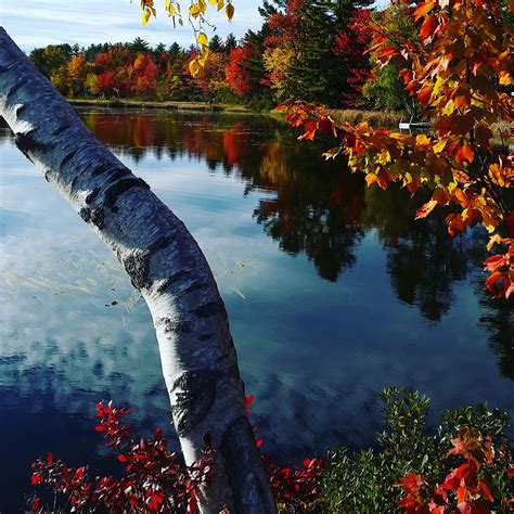 Beautiful autumn scenery in Maine | Autumn scenery, Autumn beauty ...