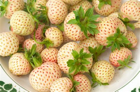 What Are Pineberries and Why Are They So Expensive? | White strawberry ...