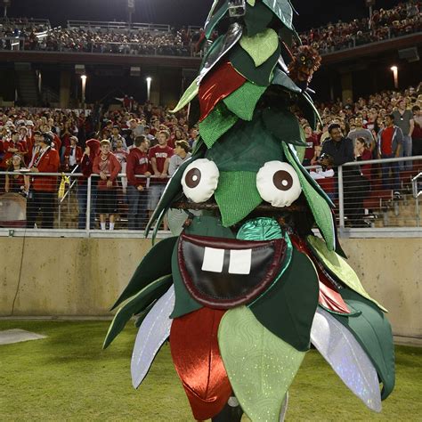 Stanford Football Mascot 2022