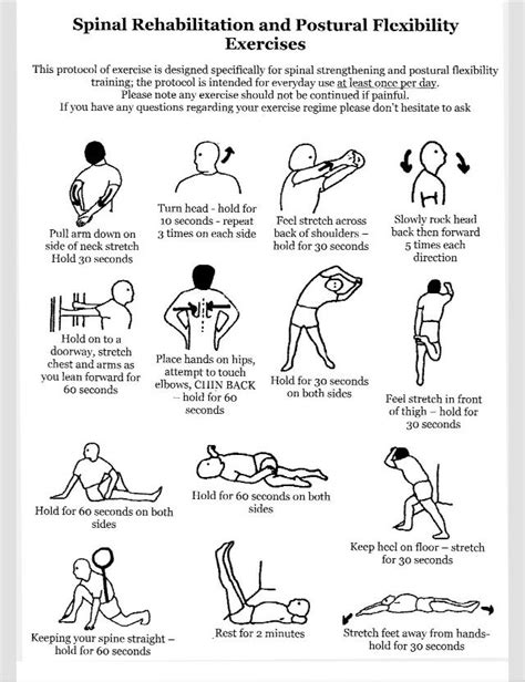 Back and Posture Exercises Scoliosis Exercises, Stretching Exercises ...