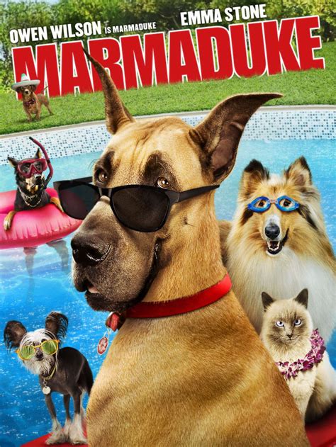 Movie Review of Marmaduke the Movie (2010 Movie) - HubPages