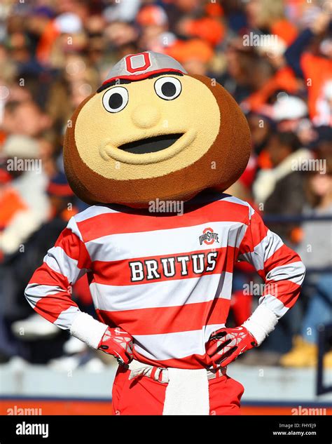 Ohio State Buckeyes mascot Brutus is seen during an NCAA football game ...