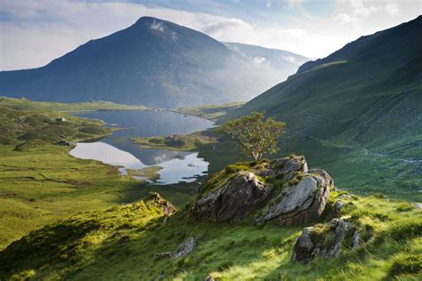 Biomi di montagna: vita ad alta quota