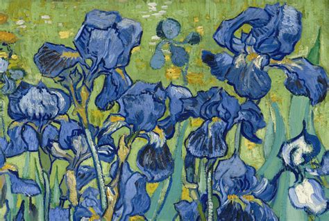 Van Gogh Irises Wallpapers - Top Free Van Gogh Irises Backgrounds ...