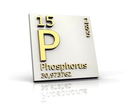 Phosphorus Element