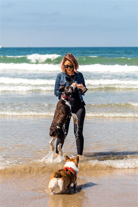 The 6 Best Off-Leash Dog Beaches in Southern California - Travel Pockets