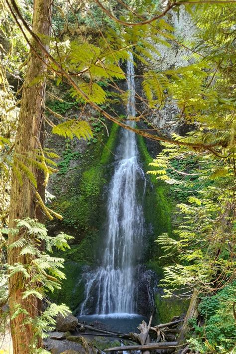 4 Most Accessible Waterfalls in Olympic National Park • Our Globetrotters