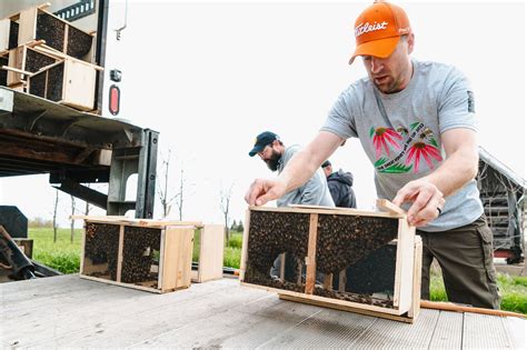 Michigan beekeepers to visit Fremont as bees return home after ...