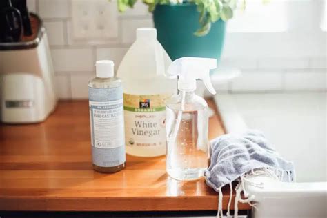 🥇 The Best Natural House Cleaning Products l My Cleaning Angel