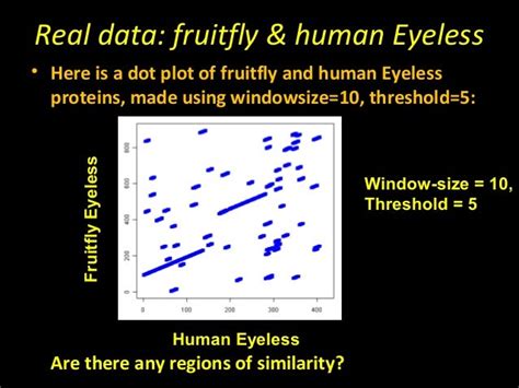 Dotplots for Bioinformatics