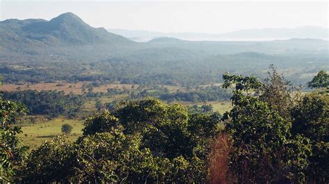 The Slow Death of Brazil's Cerrado, Ecology's Birthplace