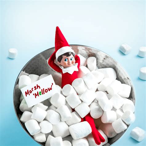 Funny Elf on the Shelf Ideas | The Elf on the Shelf