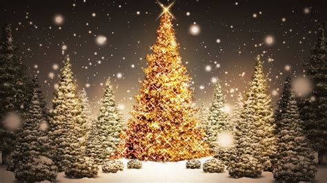 Christmas Tree Wallpapers HD (71+ images)