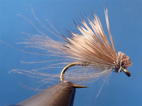 CDC Elk Hair Caddis - Step by Step Patterns & Tutorials - Fly Tying