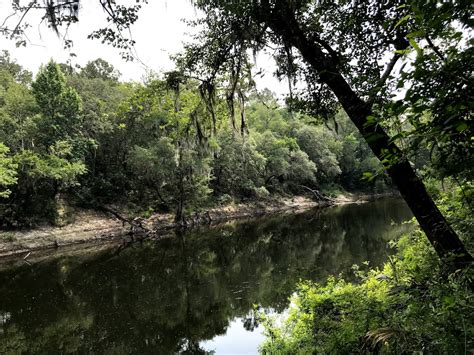 The Dynamic Withlacoochee River | Florida State Parks