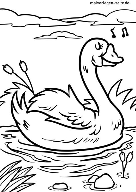 Baby Swan Coloring Pages