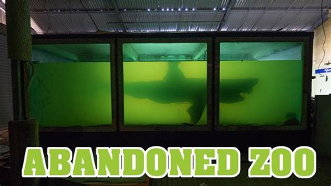 How to create cool material like tank with a dead shark in abandoned ...