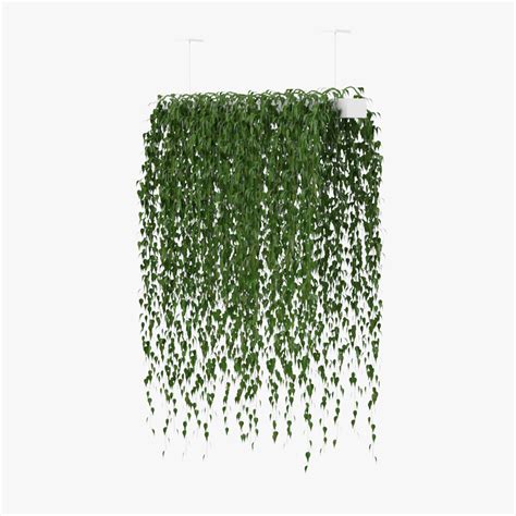 Hanging plants v1 3D Model $19 - .max .fbx .unknown .obj - Free3D