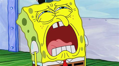 SpongeBob You're Fired by SpongeBobFan2462 on DeviantArt