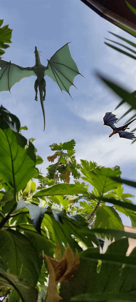 Another dragon sightings. Lingalor look really small compared to them ...