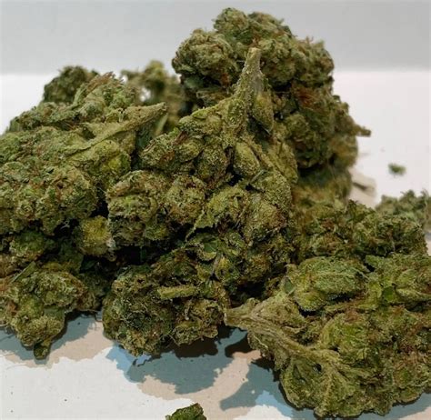 Fatso OG Strain Review