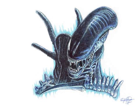 Xenomorph from Alien Drawing by Serafin Ureno