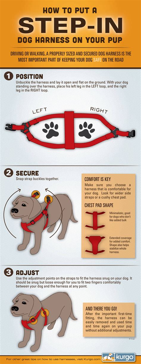 How To Put On A Step In Dog Harness - Kurgo Dog Products