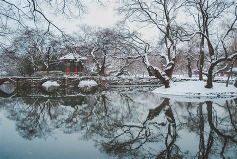 Winter in Korea: What to Do + How to Survive - There She Goes Again