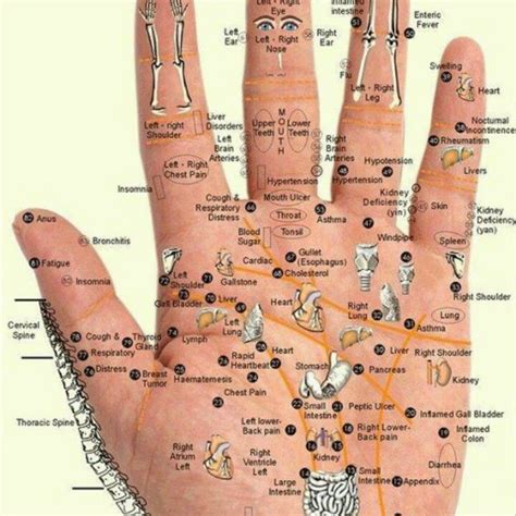 Massage Techniques for Hand Reflexology | Reflexology, Hand reflexology ...