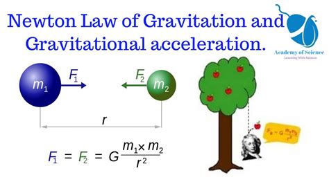 Isaac Newton Gravity Law