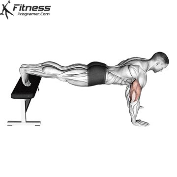 How To: Decline Push-Up | Muscles Worked And Benefits