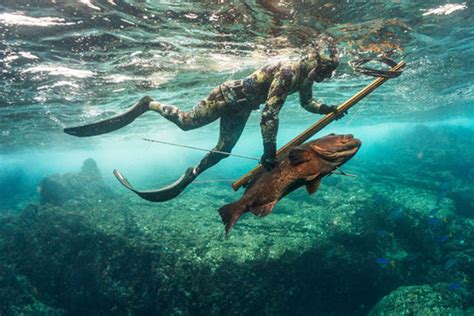 What is Spearfishing? | Sportsman Boats