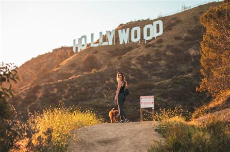 Amazing Views Hiking to the Hollywood Sign