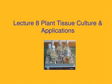 PPT - Lecture 8 Plant Tissue Culture & Applications PowerPoint ...