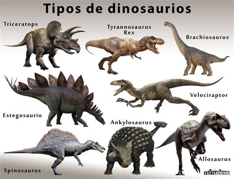 Dinosaurios: Nombres de los diferentes tipos; Cuándo y cómo se extinguieron