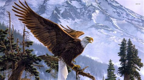 Great Wild Eagle Wallpaper HD 17 | Eagle wallpaper, Eagle images, Eagle ...