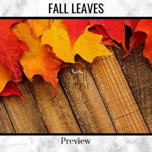 Fall Leaves Zoom Background 4 Virtual Backgrounds for Video - Etsy