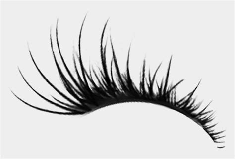 Eyelash Sticker - Transparent Eye Lash Clipart, Cliparts & Cartoons ...