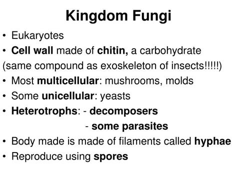 PPT - Kingdom Fungi PowerPoint Presentation, free download - ID:4111868