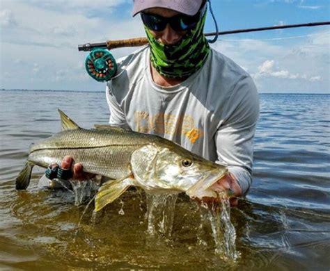 Snook Fishing 101: Snook Bait, Snook Lures And Equipment– Hunting and ...