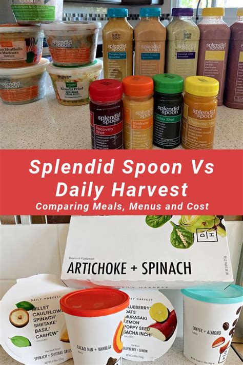 Daily Harvest vs Splendid Spoon: Comparing Plant-Based Meal Delivery ...