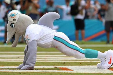 10 Most Famous Florida Mascots in 2023 | Mascot, Miami dolphins ...