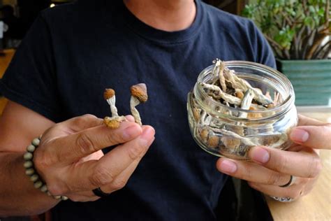 Examine This Report on Psilocybin - Wikipedia - The Big Socialite