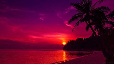 Sunset Wallpapers HD - Wallpaper Cave