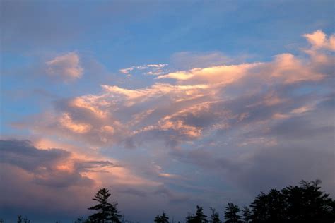 Free picture: dawn, clouds, sky, trees