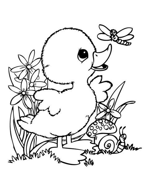 Baby Duck And Friends Coloring Page | Animal coloring pages, Cute ...