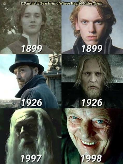 Albus Dumbledore and Gellert Grindelwald over the years | Harry potter ...