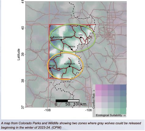 Wolves and the Colorado Trail - What You Need to Know - Colorado Trail ...