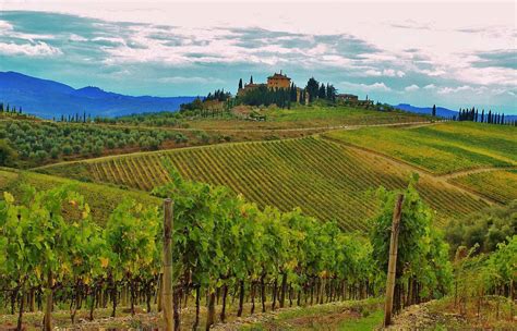 Best Destinations For Wine Tasting - PRETEND Magazine